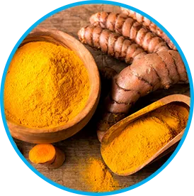 Himalayan Turmeric ingredient in Venus Factor